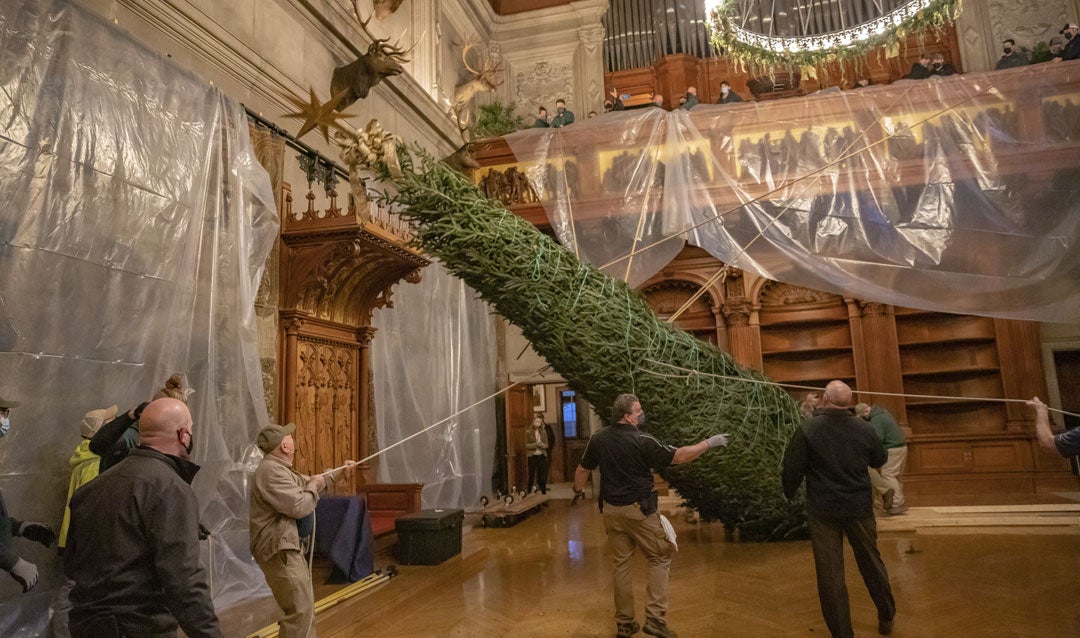 Celebrate Biltmore's TreeRaising Tradition Virtually