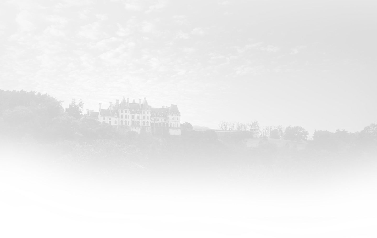 timeline background