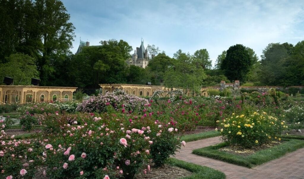 Historic Rose Garden at Biltmore