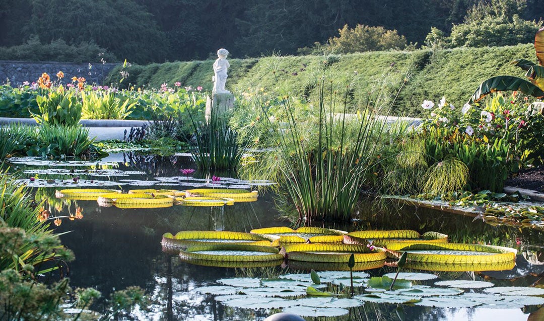 Full view of flowers blooming at the Italian Garden Pools at Biltmore