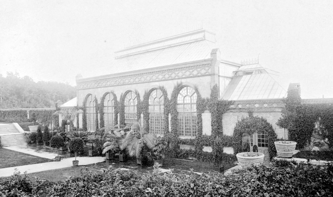 Biltmore Conservatory ca. 1910