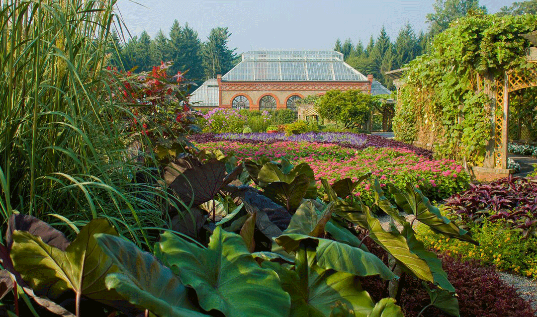 The Conservatory at Biltmore surrounded by summer gardens