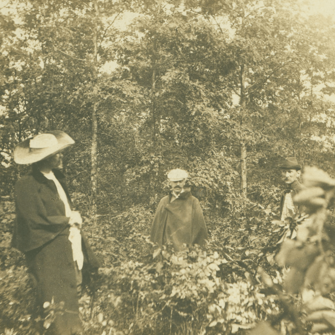 Vanderbilts hiking in Pisgah Forest during excursion