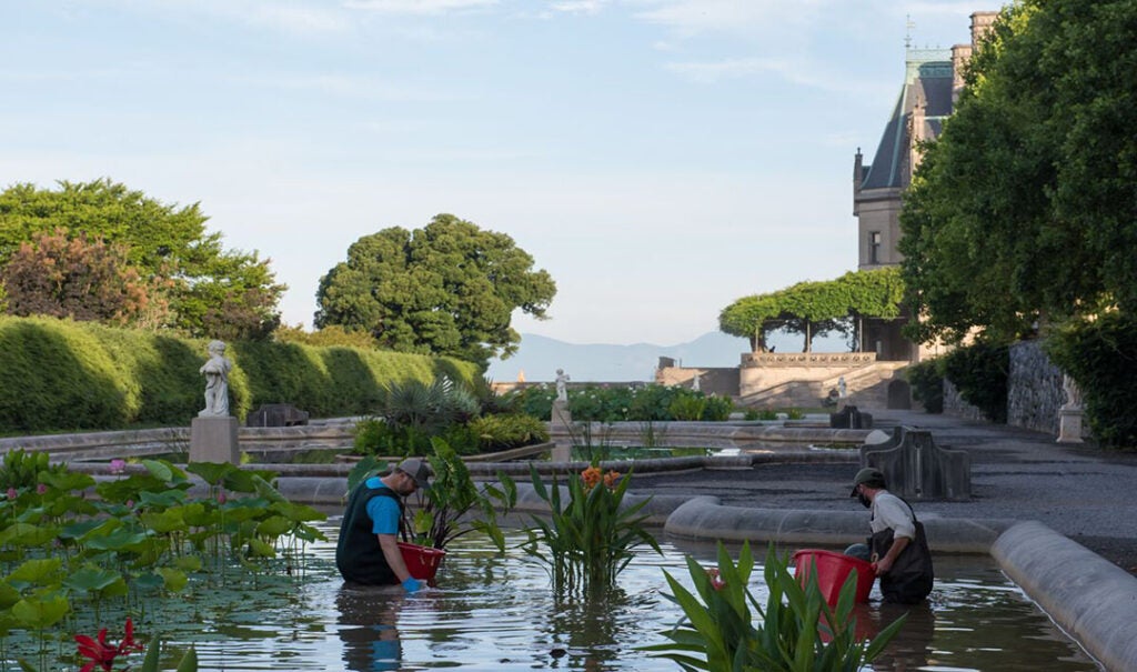 Italian Garden pool cleaning during fall.