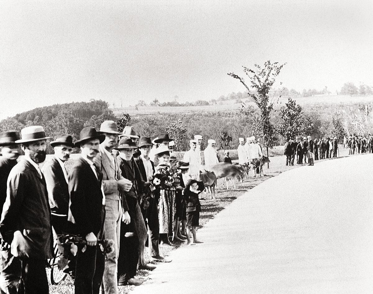 Archival photograph of Biltmore Estate employees lining Approach Road to welcome the newlyweds.