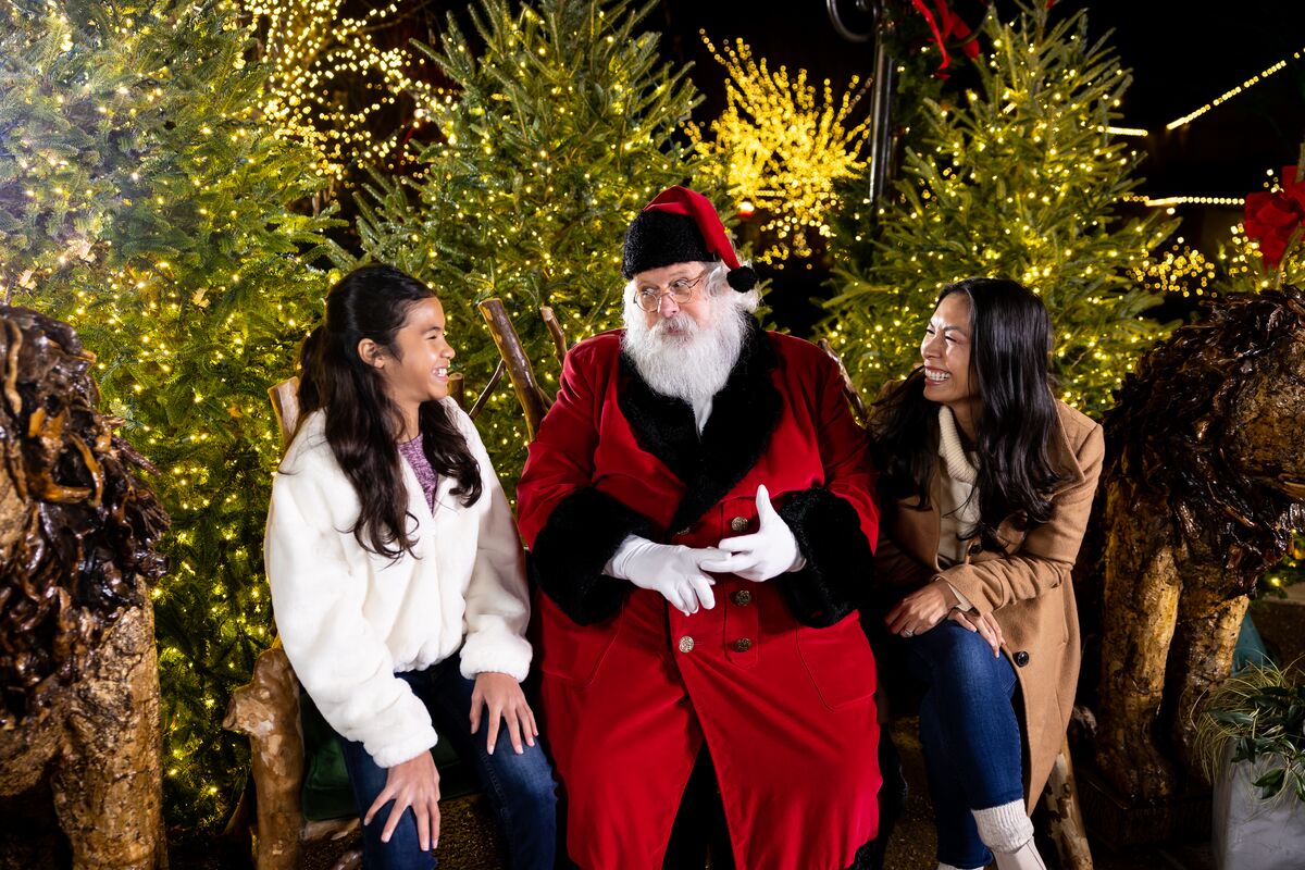 Santa
