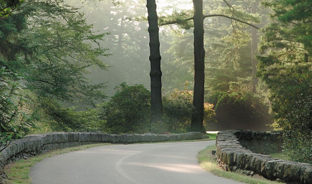 View of the Approach Road in spring