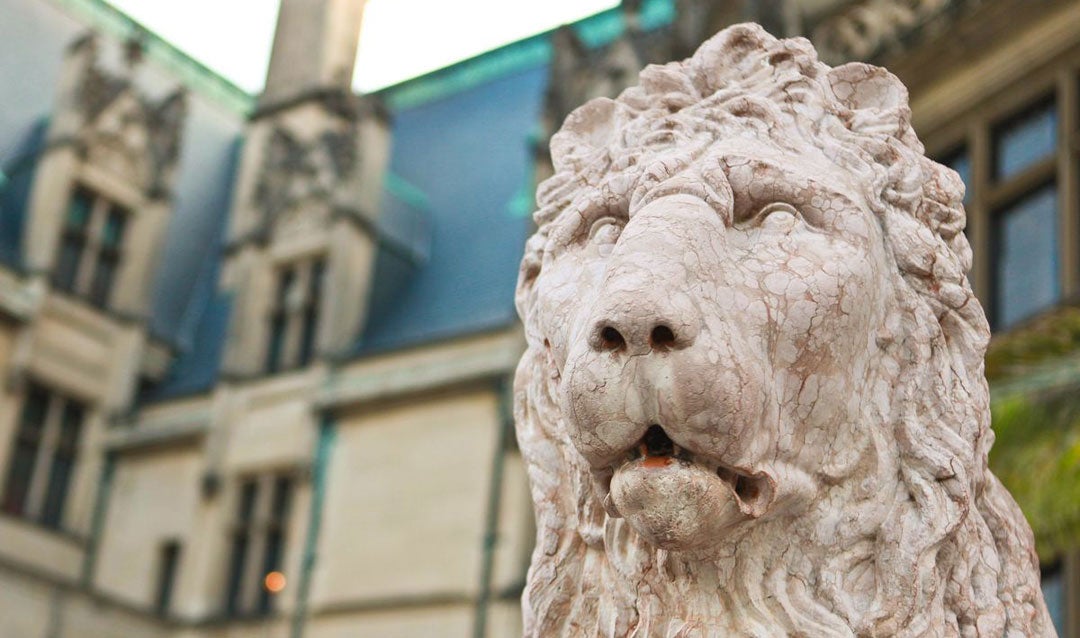 Lion sculpture in front of Biltmore House