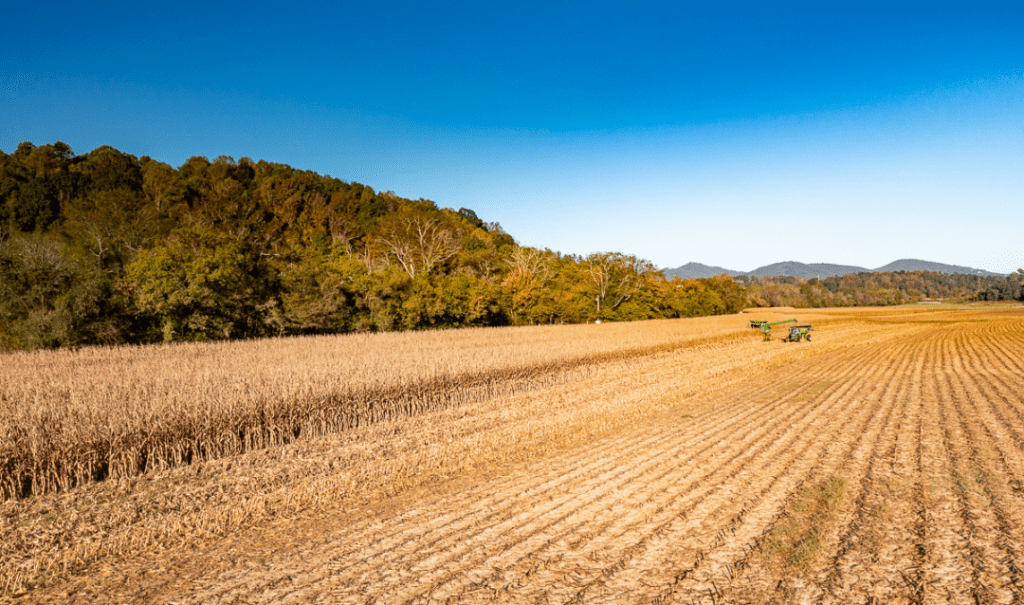 Row Crops at Biltmore