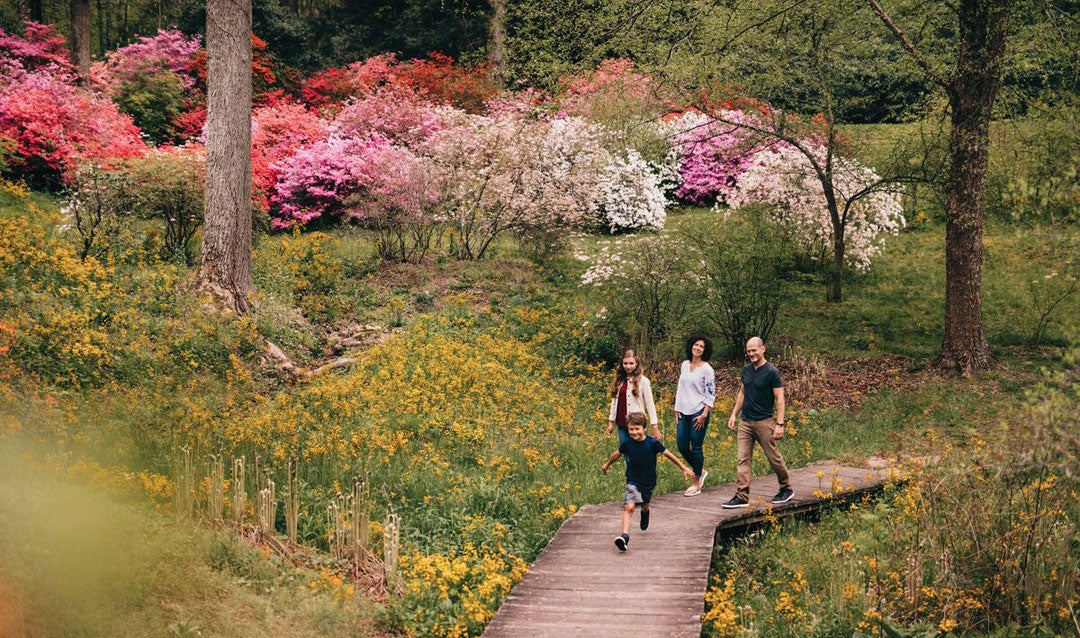 Family activities at Biltmore