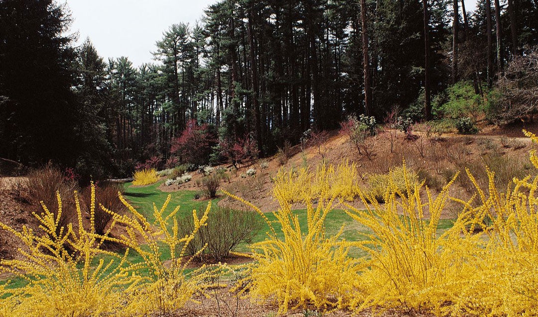 The Spring Garden at Biltmore