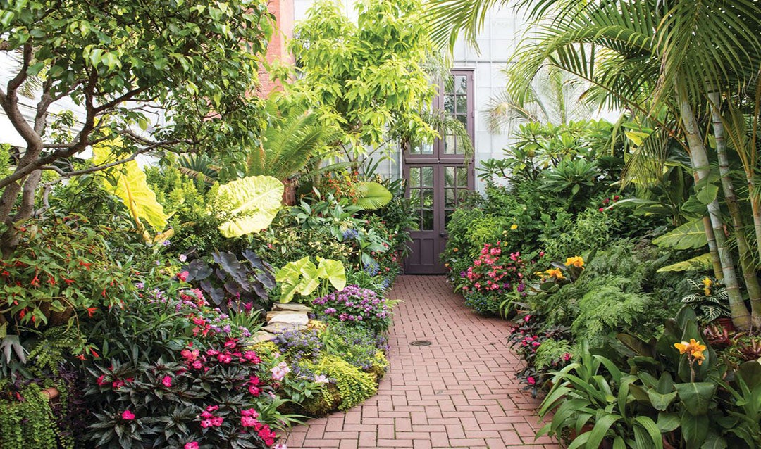 Alleys of the Conservatory