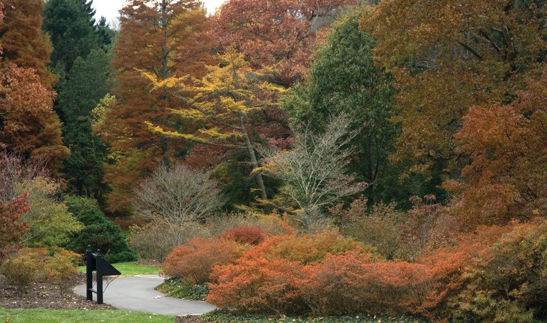 Preparing Biltmore's historic gardens for fall