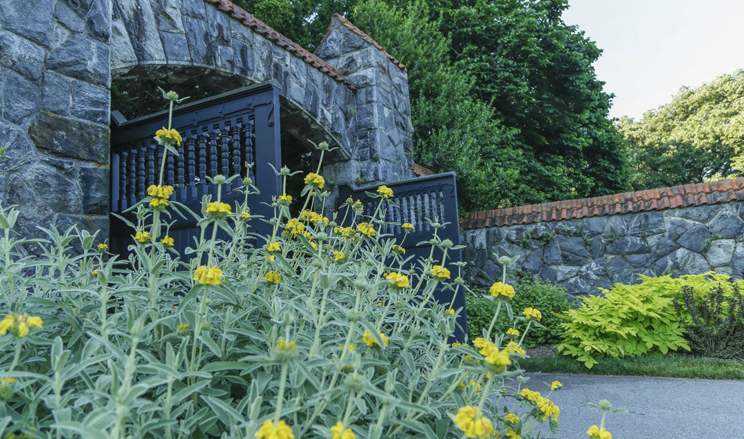 Preparing our historic gardens for fall