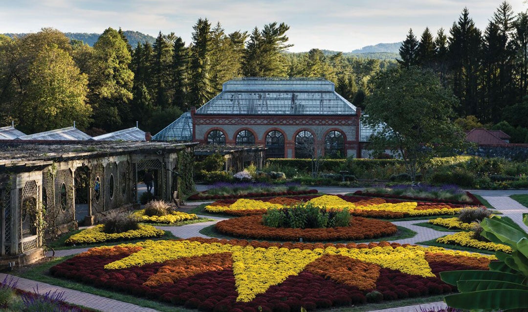 Fall mums in the Walled Garden at Biltmore