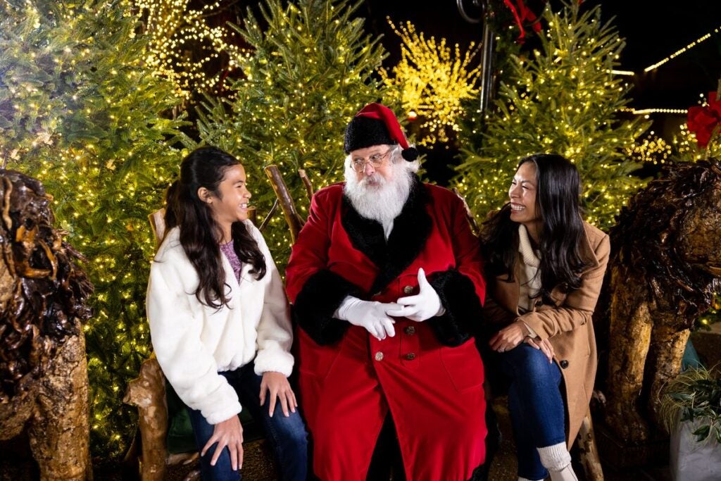 Santa Claus talks to a mother and daughter with lighted trees in the background.