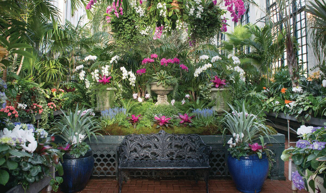 Ornate bench surrounded by flowering plants in Biltmore's Conservatory
