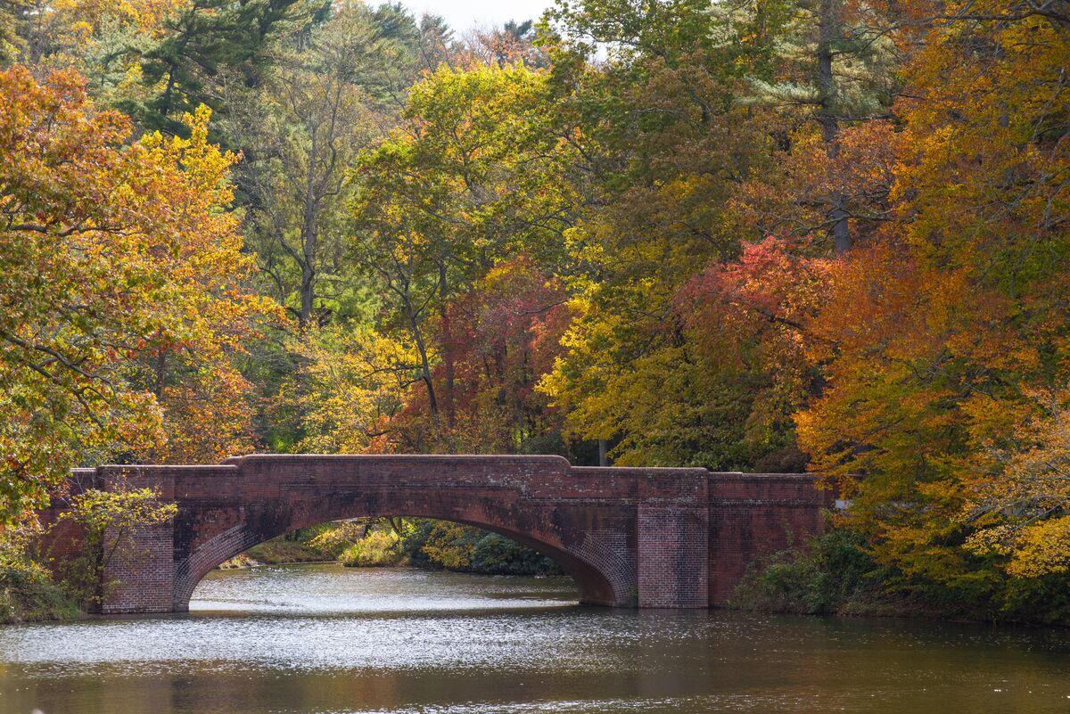 Bass Pond Bridge in autumn