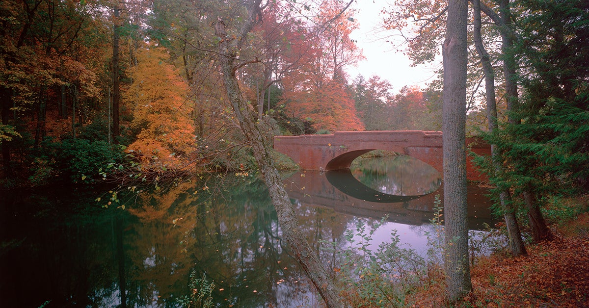 Biltmore's Bass Pond Bridge, featured in The Last of the Mohicans, another movie shot at Biltmore.