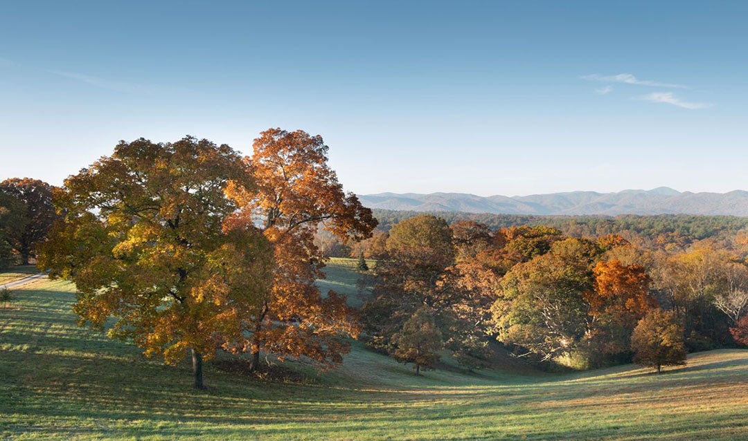 View during Fall at Biltmore from South Terrace