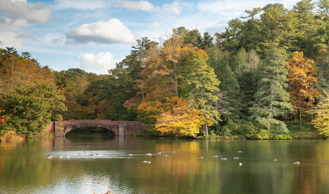 Bass Pond at Biltmore during Fall