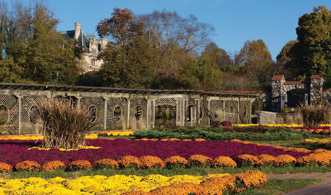 Fall Walled Gardens at Biltmore