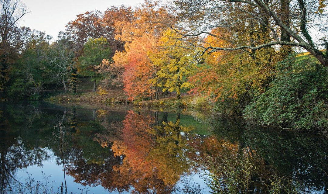 Lagoon at Biltmore during Fall