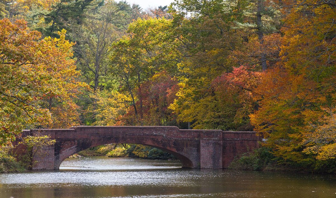 Bass Pond Bridge during Fall