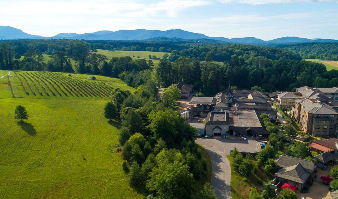 Test vineyard above the Winery at Biltmore