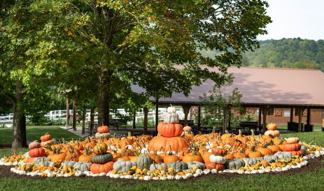 Antler Hill Village in Fall at Biltmore