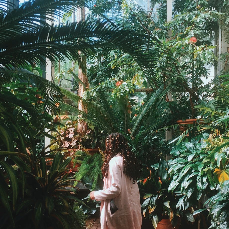 Conservatory guest photo