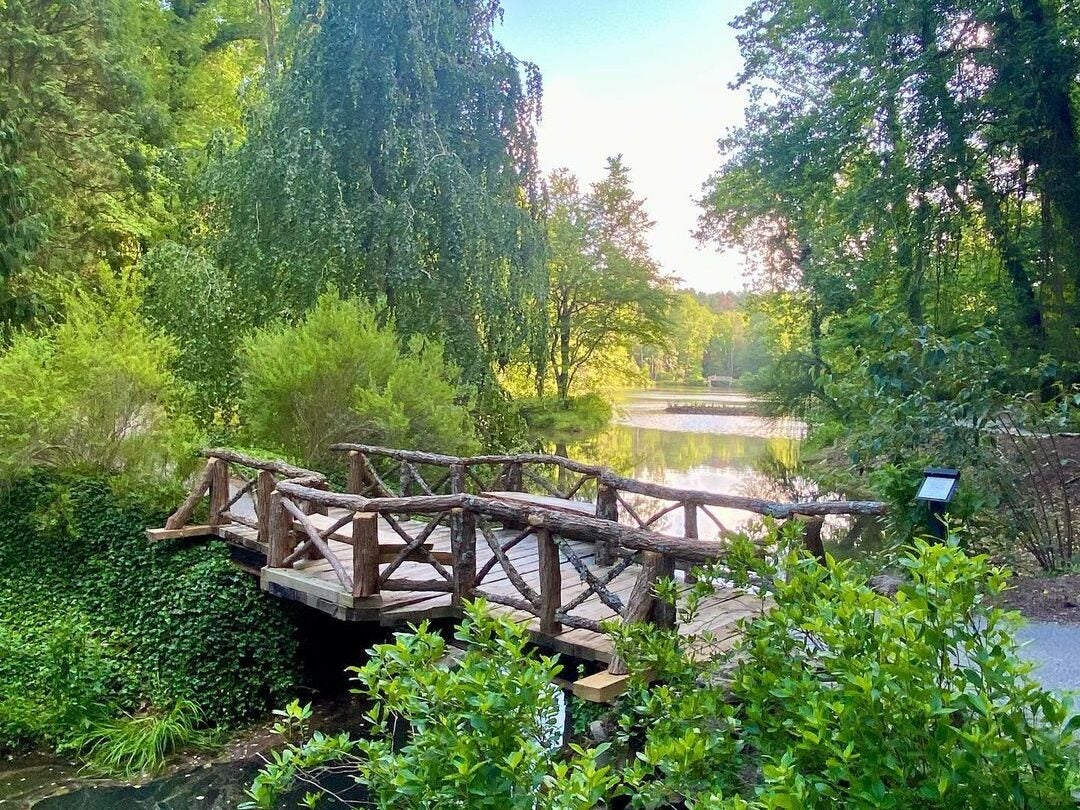 Bass Pond Bridge guest photo