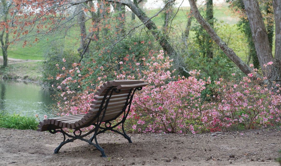 Bench by Biltmore's Bass Pond