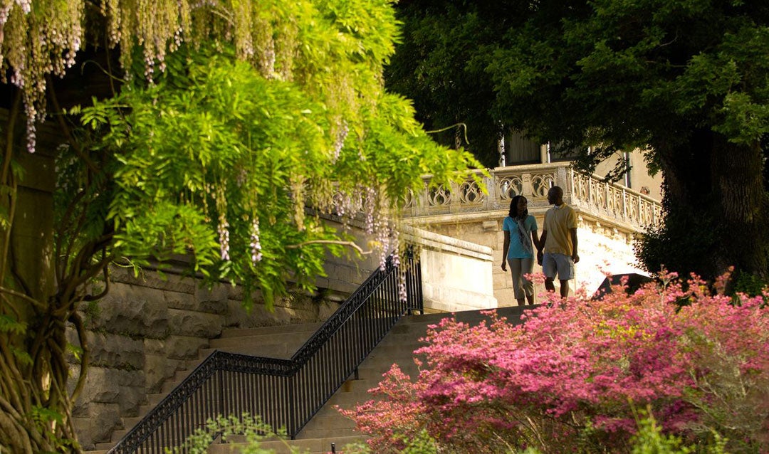 Couple walks through spring blooms at Biltmore House