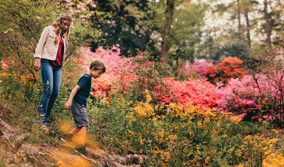 Kids in Biltmore's Azalea Garden