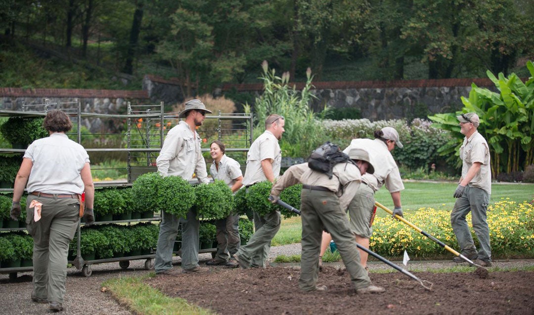 Landscaping crew at work in Biltmore's Walled Garden