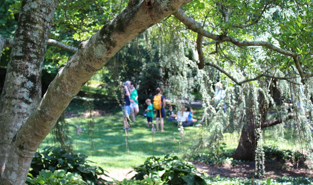 Discover Biltmore's distinctive Shrub Garden