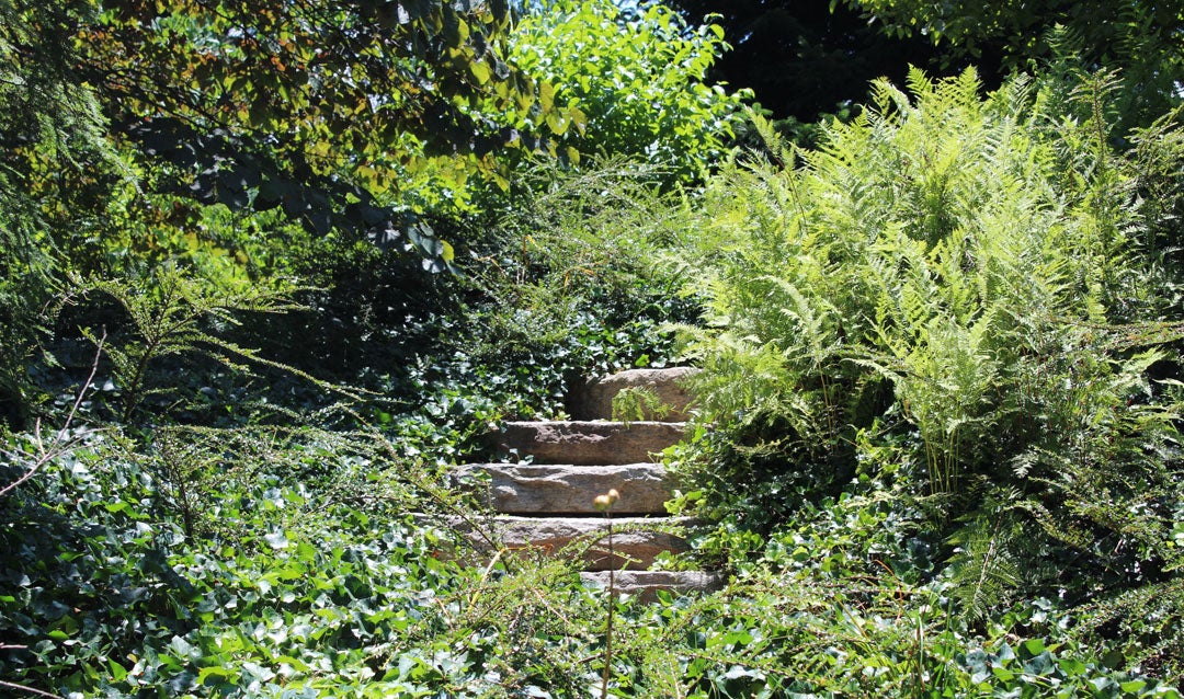 Stone steps in Biltmore's Shrub Garden