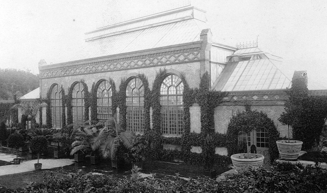 Archival Conservatory photo