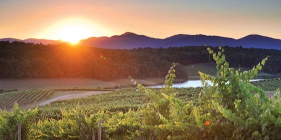 wine tours asheville