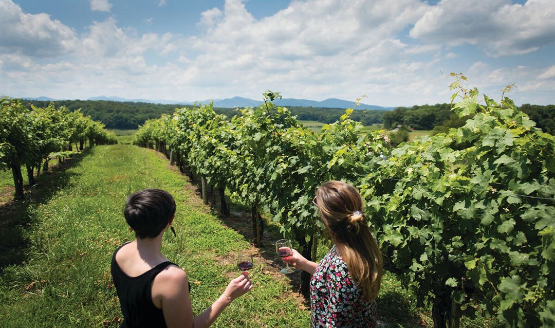 Glass of Wine at Vineyard