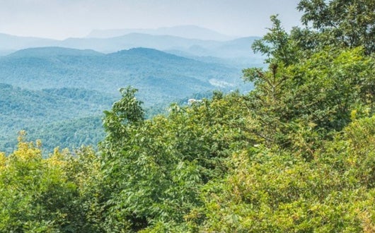Grandfather Mountain