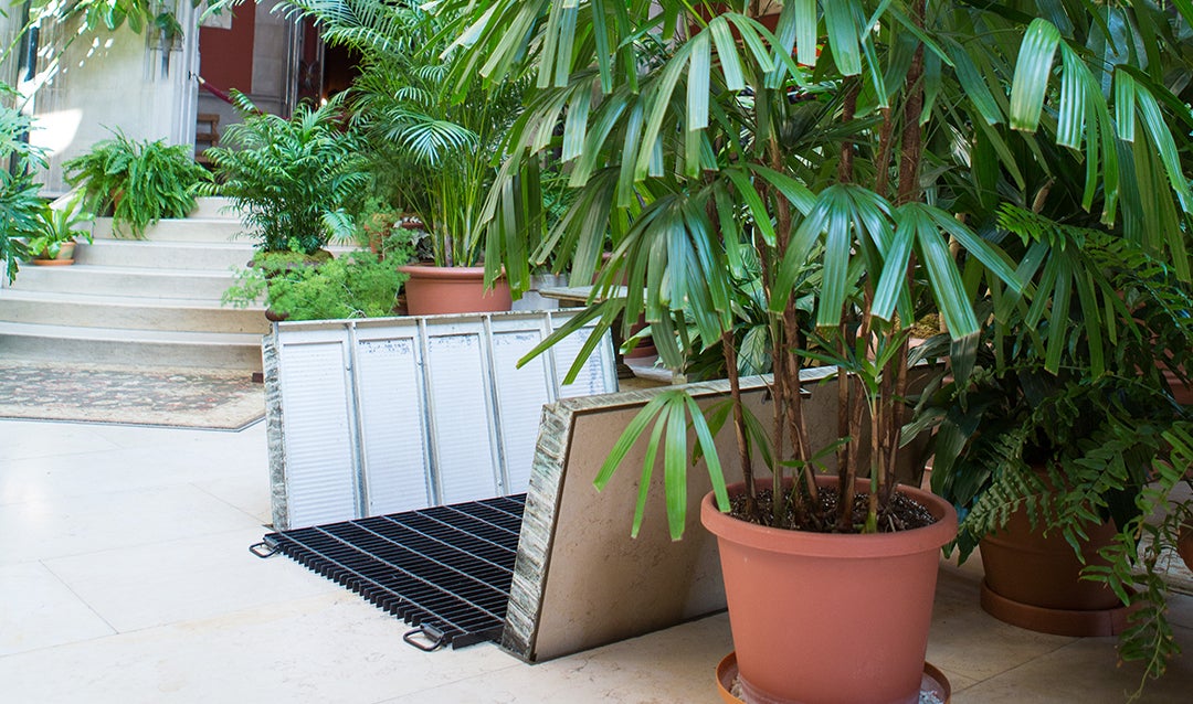 Trap door in the floor of the Winter Garden