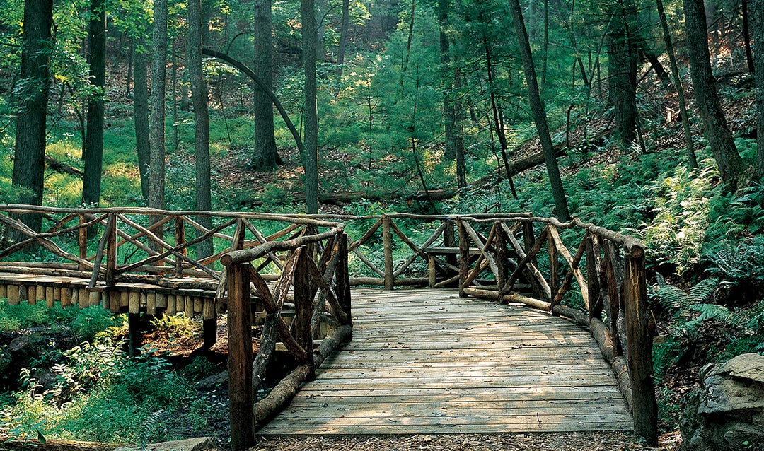 On Biltmore's Westover trails, a bridge in the woods