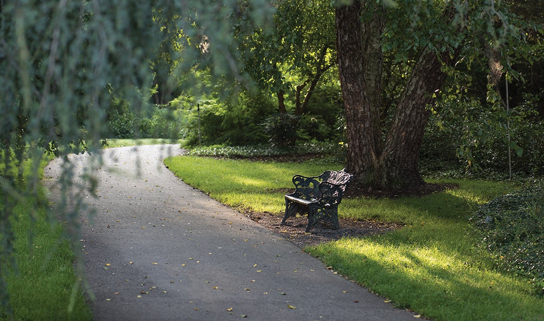 Walk in our manicured gardens on paved paths in Biltmore's Italian and Shrub Gardens