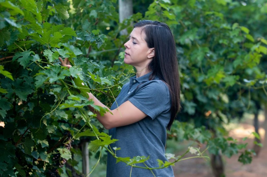 Sharon Fenchak joins Biltmore.