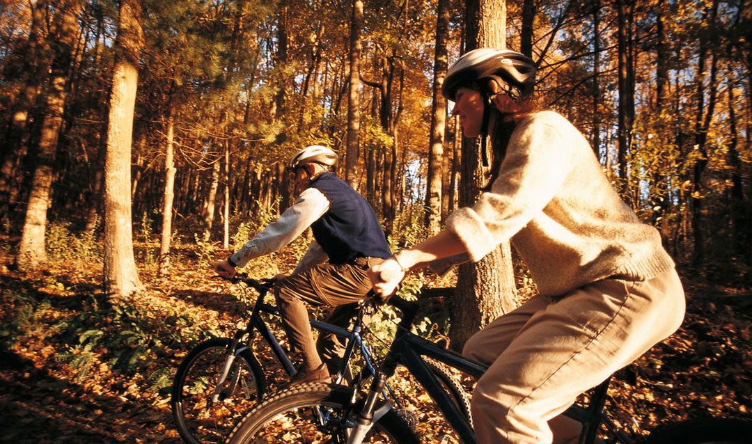 8 great reasons to visit Bltmore this fall