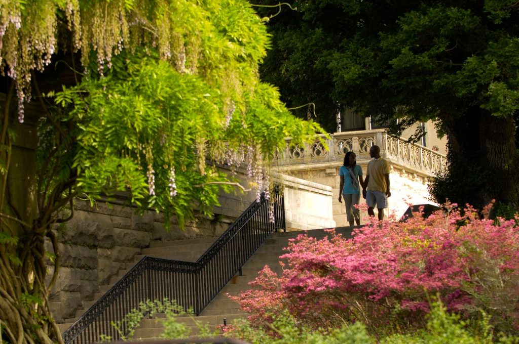 Annual Blooms Biltmore