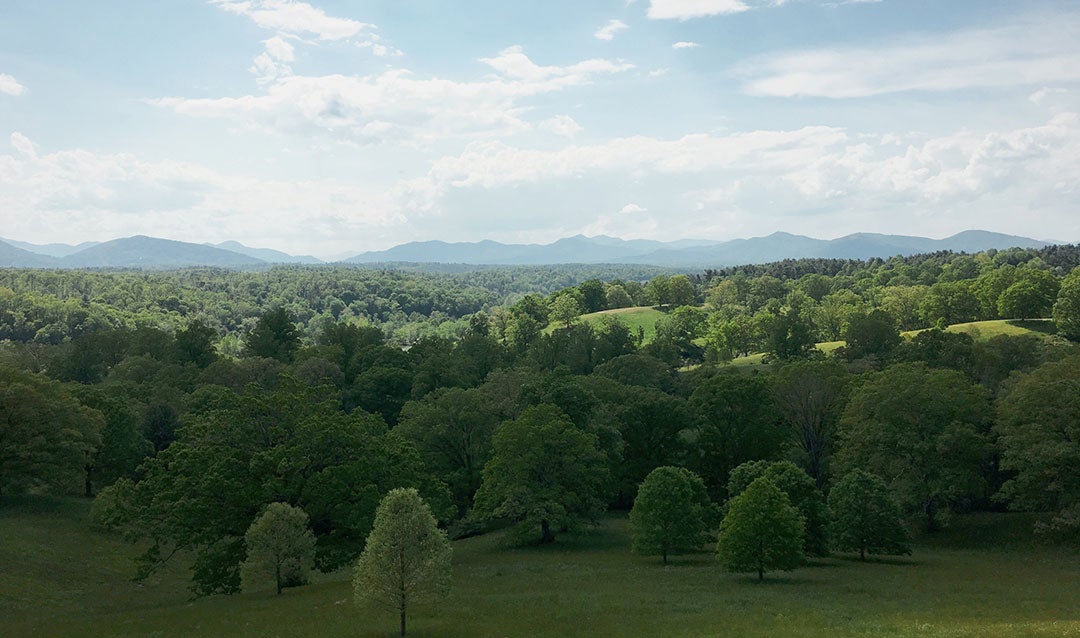 Biltmore Estate American Forestry Today