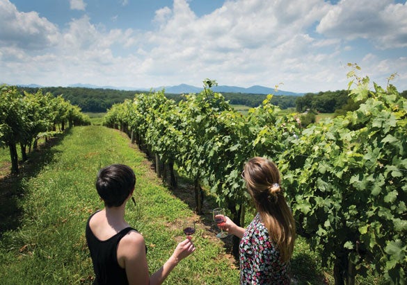 Guests enjoying a visit to Biltmore's vineyards on the west side of the estate